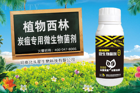 2021年4月14日三環(huán)唑殺菌劑價(jià)格快訊