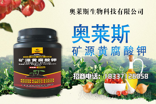 靈芝生產(chǎn)季節(jié)是什么時(shí)候？靈芝熟料段木仿生栽培技術(shù)！