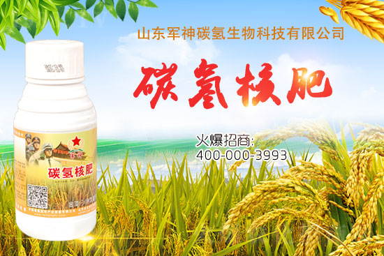 碳?xì)浜朔适鞘裁捶?？為什么效果這么好？