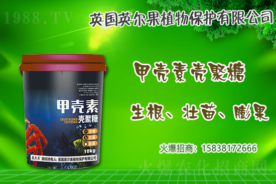2021年不同地區(qū)春花生播種品種選擇技巧