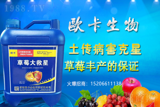 歐卡生物再簽1988.TV,力求實(shí)現(xiàn)企業(yè)騰飛夢(mèng)!