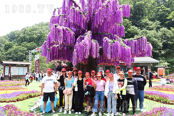 �����𱬾W(w��ng)���Ͼ�ɽ���������������Ї��W(xu��)��(j��ng)��