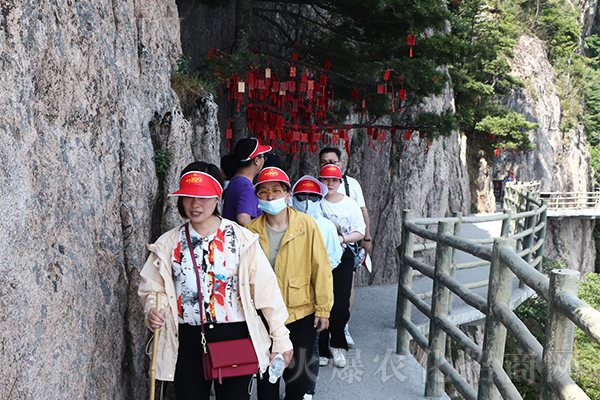 �Ե����g(sh��)���������