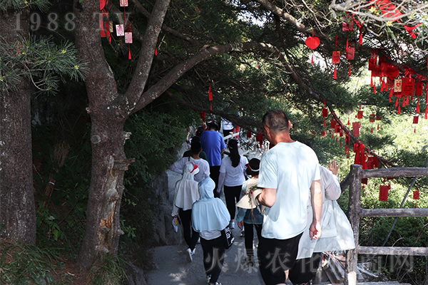 ��Ԋ�箋���ļ�������