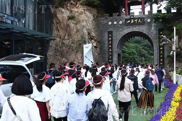 �I(l��ng)��ɽ�� Ʒ���Ļ�