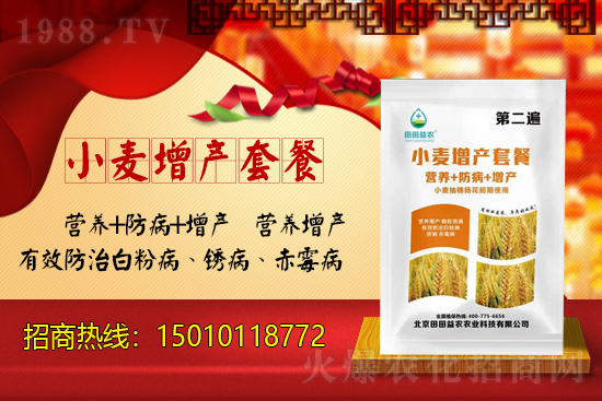 小麥價格