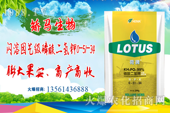 ⛷ʃr(ji��)���(ji��n)ͦ������⛷ʃr(ji��)�������߄ݣ�6��22�գ�