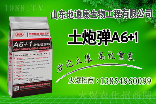    合作關(guān)系再升華，山東地速康與1988.TV開啟新篇章！