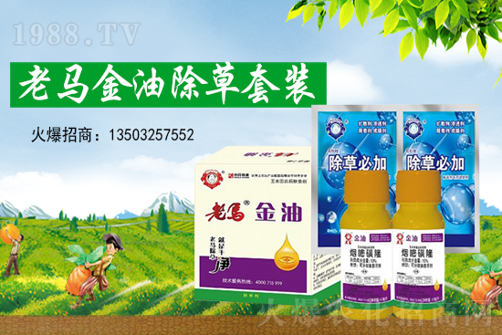 草甘膦價格創(chuàng)新高，2021年7月15日草甘膦價格走勢