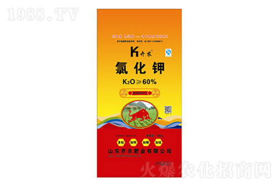 ⛷ʃr���q��2021��7��19��⛷ʃr�������Ո�