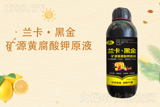 柑橘黃葉是什么原因造成的?柑橘黃葉的解決措施