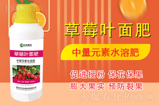 合作發(fā)展，共創(chuàng)未來(lái)，江天生物簽約1988.TV，共創(chuàng)新輝煌！