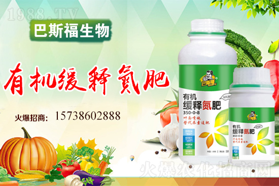 圣女果怎么施肥?圣女果追肥要點(diǎn)