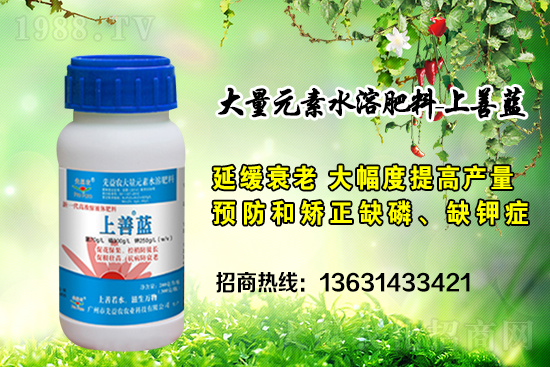 廣州市先益農再度攜手1988.TV，攜手共創(chuàng)新戰(zhàn)績！