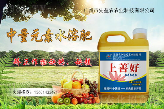 廣州市先益農再度攜手1988.TV，攜手共創(chuàng)新戰(zhàn)績！