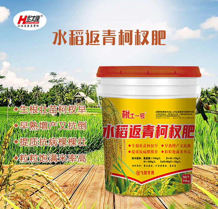 C-_Users_1988_Desktop_山西中農(nóng)化生物技術股份有限公司_01