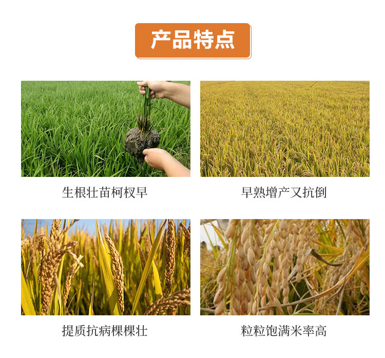 C-_Users_1988_Desktop_山西中農(nóng)化生物技術股份有限公司_03