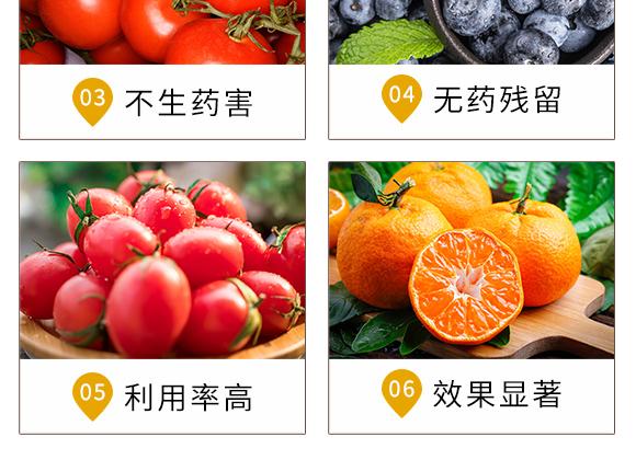 青蟲(chóng)·蛾溶劑-靚麗多-螢火蟲(chóng)_05