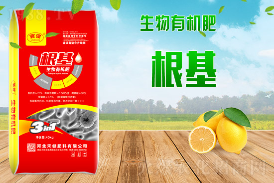 2021年9月6日國內(nèi)玉米價(jià)格行情