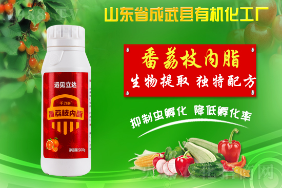 【有機(jī)化工廠】祝您新年更有新氣象!在新的一年里大展宏圖!