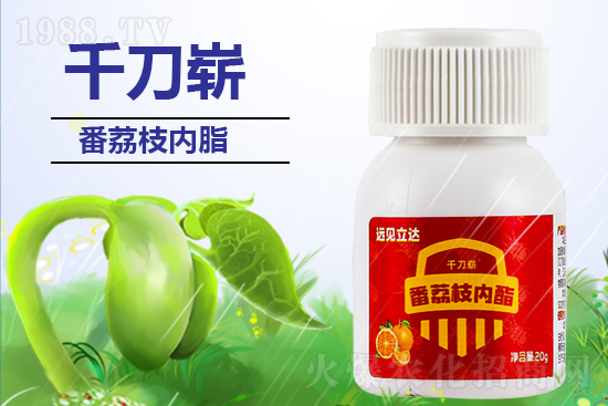 【有機(jī)化工廠】祝您新年更有新氣象!在新的一年里大展宏圖!