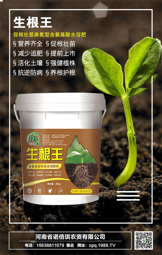 【諾倍琪農(nóng)資】祝大家在新的一年里事業(yè)有成,福運(yùn)無疆!