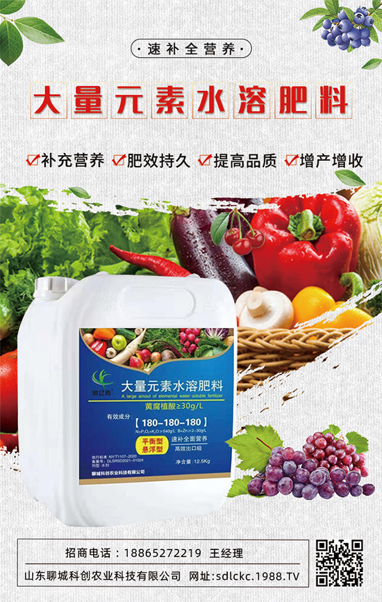 山東聊城科創(chuàng)再簽1988.TV，共謀合作促雙贏！