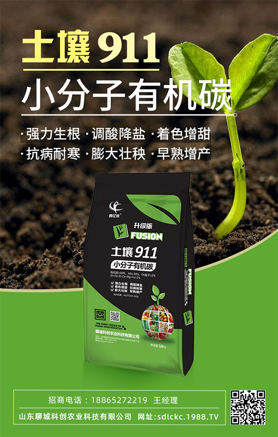 山東聊城科創(chuàng)再簽1988.TV，共謀合作促雙贏！