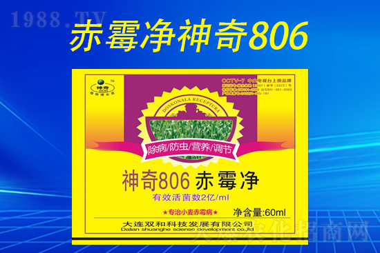 合作再升級(jí)！大連雙和科技再簽1988.TV，共創(chuàng)新輝煌！