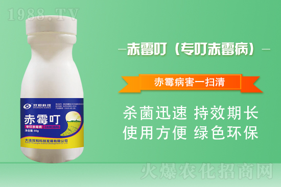 合作再升級(jí)！大連雙和科技再簽1988.TV，共創(chuàng)新輝煌！