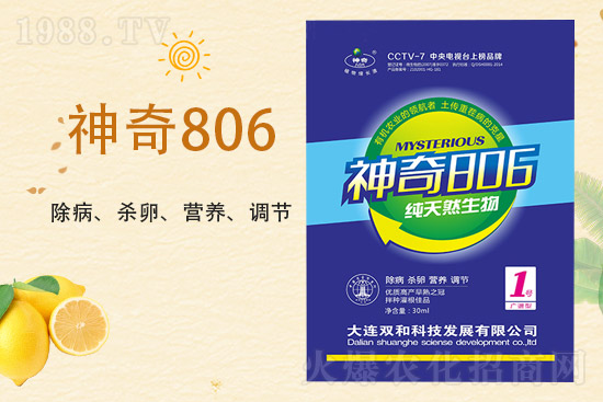 合作再升級(jí)！大連雙和科技再簽1988.TV，共創(chuàng)新輝煌！