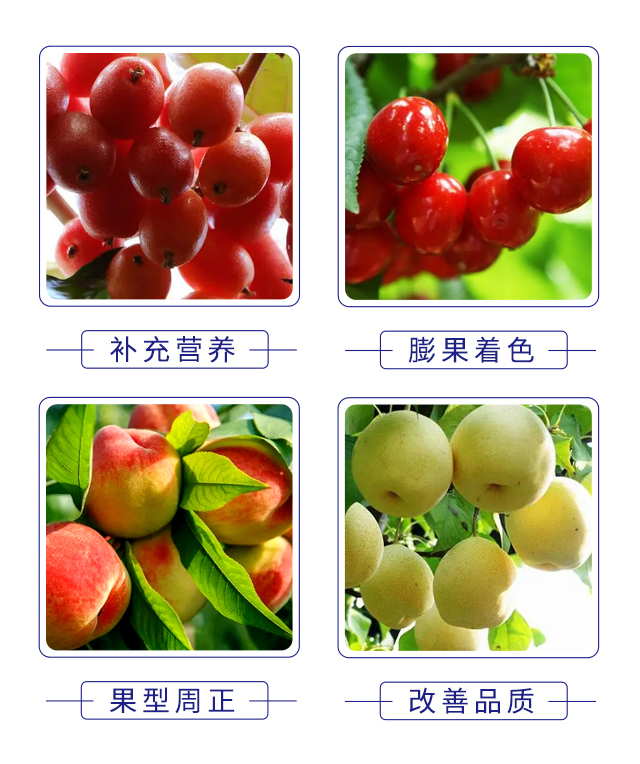 �����_ʩ�����-�v�S�r(n��ng)�I(y��)_05