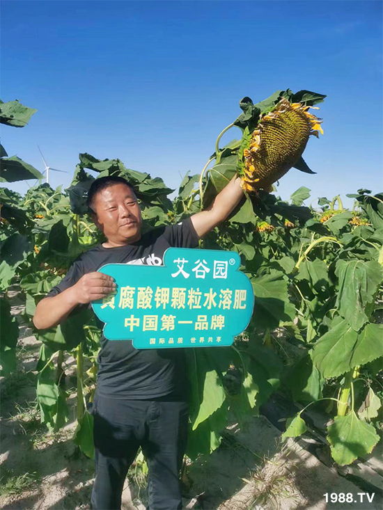 河北艾谷農業(yè)科技有限公司1