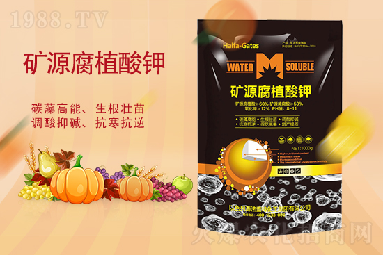 鉀肥價格能再漲嗎？2月19日各地鉀肥價格