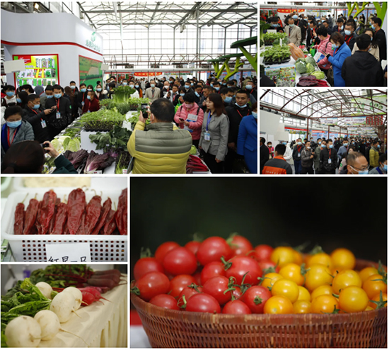 重磅!第七屆成都種業(yè)博覽會(huì)定檔11月18日