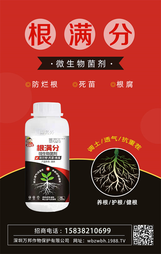 作物死苗爛根多，發(fā)育不良怎么辦！如何拯救作物根系？