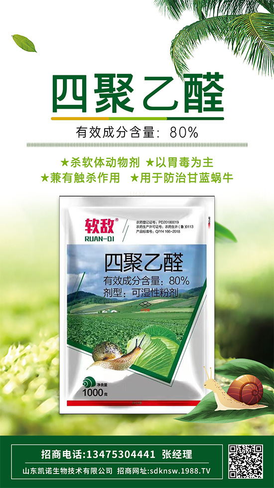 防治蔬菜蝸牛，四聚乙醛這樣使用，殺蟲效果沒得說！
