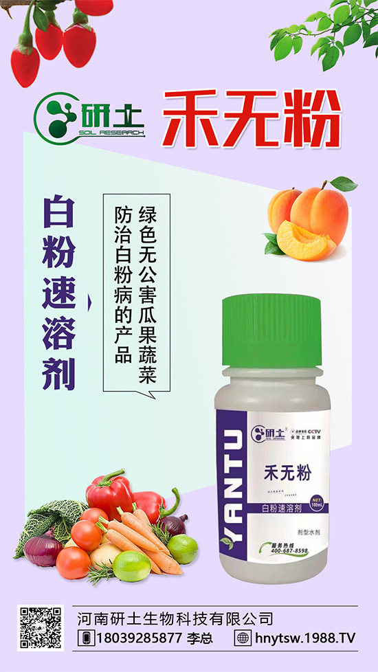 葡萄白粉病即將爆發(fā)!如何巧妙分辨白粉???