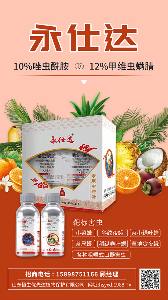 小菜蛾為何防治難？小菜蛾危害癥狀及防治措施！