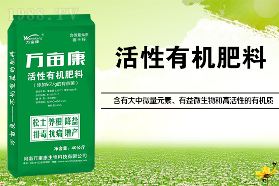 大豆高產(chǎn)施什么肥？如何施肥能增效？