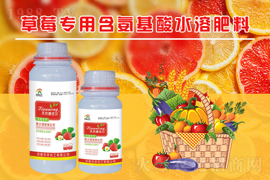 草莓畸形是什么原因造成的？草莓畸形該如何解決呢？