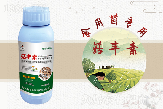 平菇栽培要點，需要注意哪些事項？