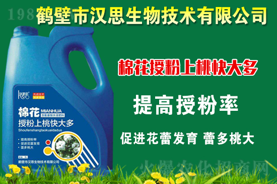 �޻��Nֲ��ô�������޻������L(zh��ng)�ڹ���Ҫ�c(di��n)