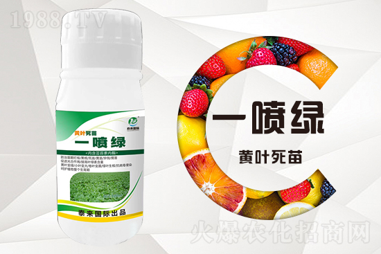 大棚蔬菜育苗為什么容易死苗？怎么解決？
