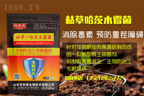 根腐病爆發(fā)怎么防治，根腐病用什么藥好防治效果好？