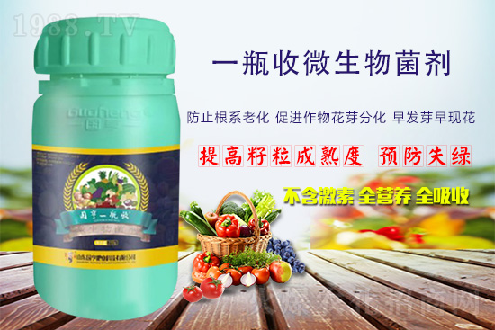 火爆農化網喜迎新盟友，攜手國亨肥業(yè)共走財富之路！