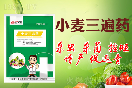 小麥巧打三遍藥抗病增產(chǎn)有奇效！小麥三遍藥什么時(shí)候打？