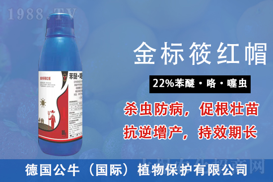 2022.4.2�}������Қ������r��