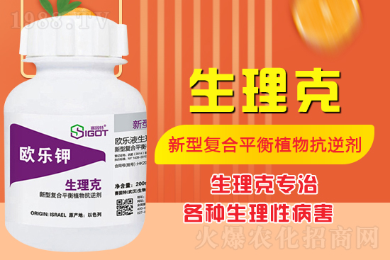 ����Ě������ʲô�Y������ô��Q����Ě������