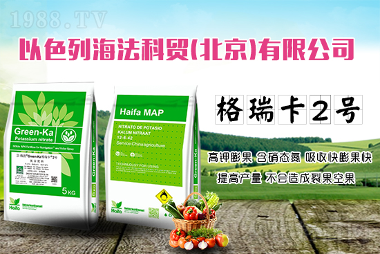 果蔬膨果增產(chǎn)的秘密！杜絕裂果空果，以色列原裝進(jìn)口，配方萬里挑一！